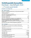 Dateivorschau: Nichtfinanzielle Kennzahlen 2024