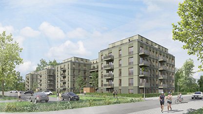 Bild – 