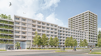 Bild – 