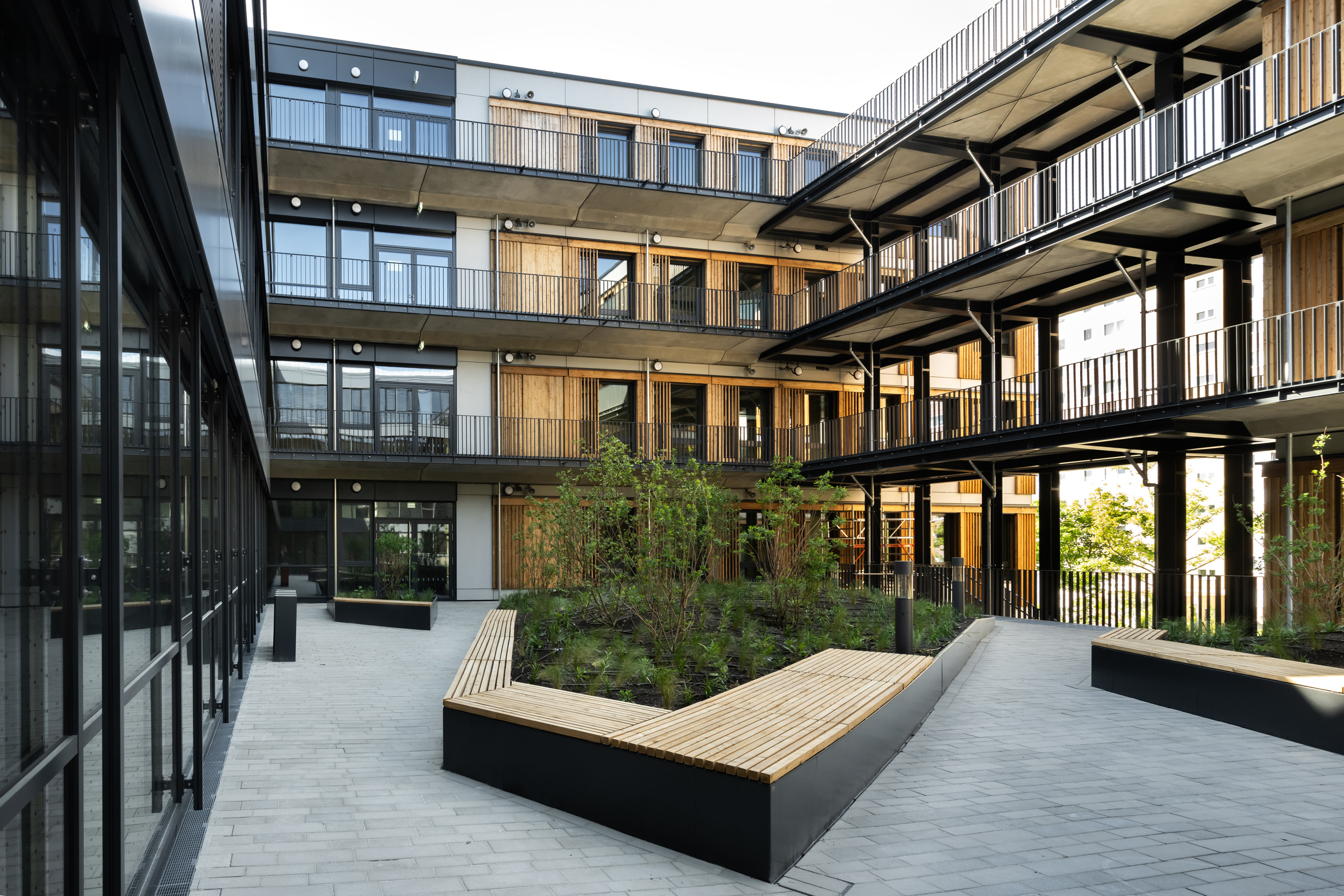Bild – 