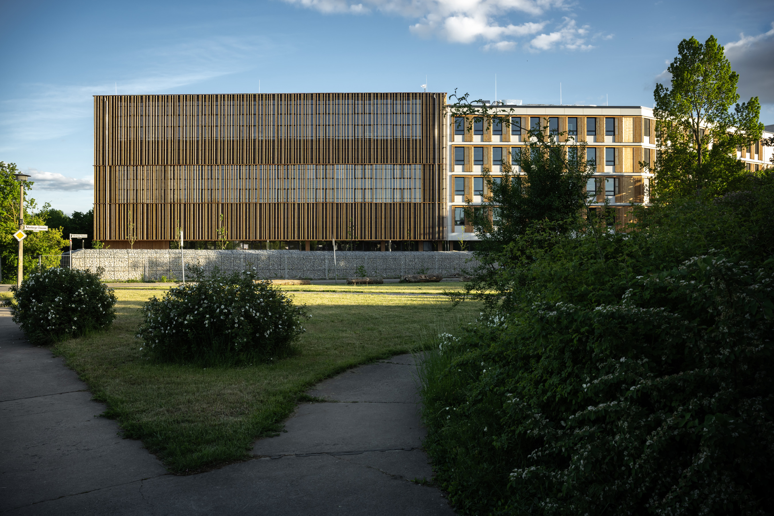 Bild – 